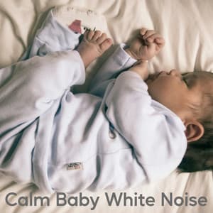Calm Baby White Noise - White Noise Soundscapes