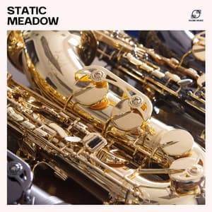 Static Meadow - Morning Jazz Background Club