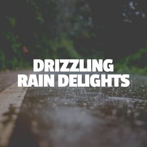 Drizzling Rain Delights - Heavy Rain Sounds