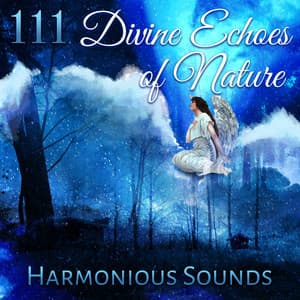 111 Divine Echoes of Nature: Harmonious Sounds, Zen Meditation, Reiki Treatment, Yoga Relaxation, Spa Massage, Ambient Therapy, Deep Sleep - Nature Collection