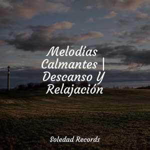 Melodías Calmantes | Descanso Y Relajación - Sons da Natureza & Relaxamento