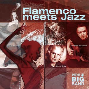 Flamenco meets Jazz - Thomas Hickstein