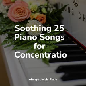 Soothing 25 Piano Songs for Concentration - Baby Lullaby