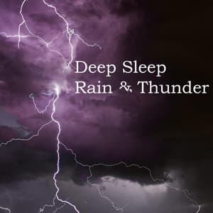 Deep Sleep Rain & Thunder - Deep Sleep Rain & Thunder