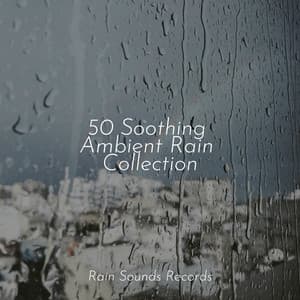 50 Soothing Ambient Rain Collection - Chillout Lounge