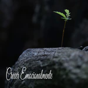 Crecer Emocionalmente - Ruido Perfecto