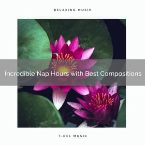 2020 Best: Incredible Nap Hours with Best Compositions - Deep Sleep Sanctuary