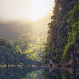 Relaxing Rain Music - Rain Sound