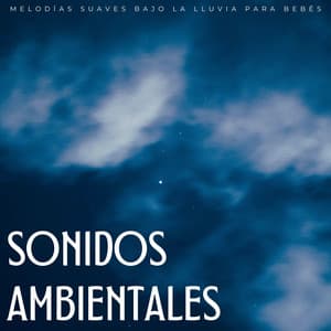 Sonidos Ambientales: Melodías Suaves Bajo La Lluvia Para Bebés - Olivia Lluvia