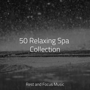 50 Relaxing Spa Collection - White Noise For Baby Sleep