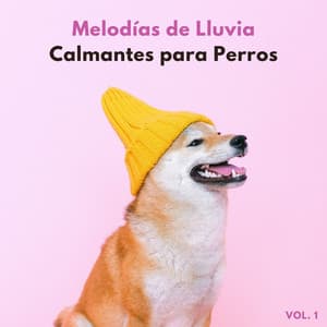 Melodías De Lluvia Calmantes Para Perros Vol. 1 - Sonidos de lluvia para dormir