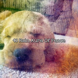 40 Rain Aura Of Peace - Rain Storm Sounds