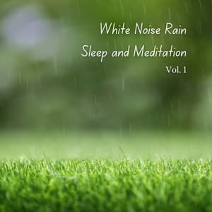 White Noise Rain Sleep and Meditation Vol. 1 - White Noise Baby Sleep Music