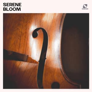 Serene Bloom: Jazz Songs Collection - Jazz Night Music Paradise