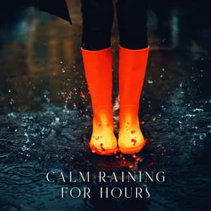 Calm Raining for Hours - The Calming Sounds Of Nature