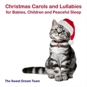 Christmas Carols and Lullabies for Babies, Children and Peaceful Sleep - The Sweet Dream Team