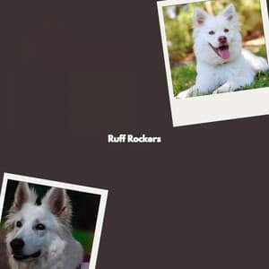 Ruff Rockers - Harlem Jazz Guitar Quartet