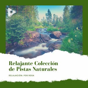 Relajante Colección de Pistas Naturales - Relajación: Por Rosa