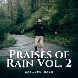 Ambient Rain: Praises of Rain Vol. 2 - Nature Field Recordings
