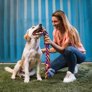 Acordes Calmantes Para Perros: Sonidos Pacíficos Para Caninos - Sonidos épicos de la naturaleza