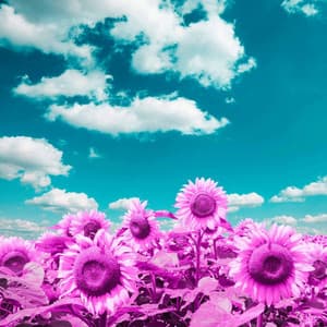 Music for Mythical Energies - Focus and Work