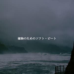 植物のためのソフト・ビート - Jazz per Studiare