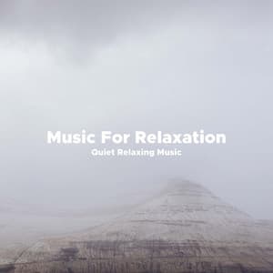 Music For Relaxation - Quiet Relaxing Music - Christian Grey