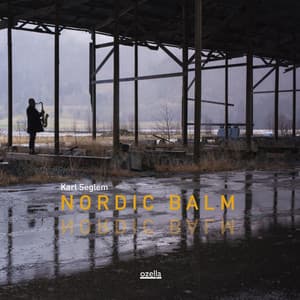 Nordic Balm - Karl Seglem