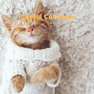 Playful Cat Music - Pet Music Therapy