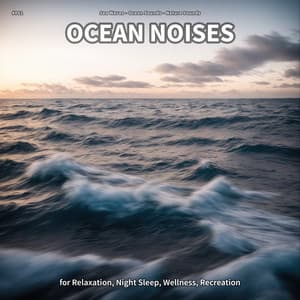 #001 Ocean Noises for Relaxation, Night Sleep, Wellness, Recreation - Sea Waves