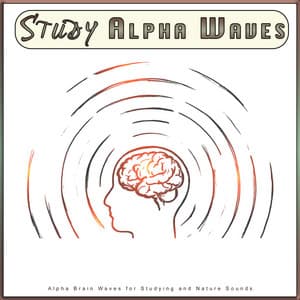 Study Alpha Waves: Alpha Brain Waves for Studying and Nature Sounds - Study Alpha Waves