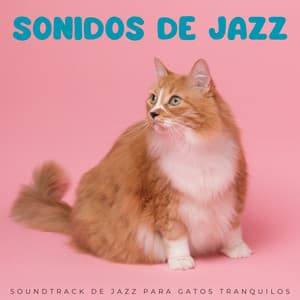 Sonidos De Jazz: Soundtrack De Jazz Para Gatos Tranquilos - Francés Café Jazz Relajación