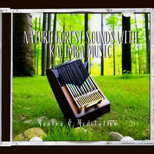 Nature Forest Sounds with Kalimba Music - Mantra & Meditation