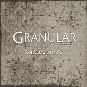 Analog Noise - Granular
