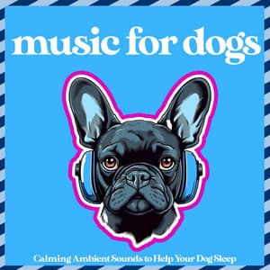 Music for Dogs - Calming Ambient Sounds to Help Your Dog Sleep - Relaxmydog
