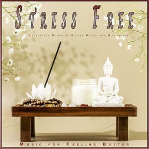 Stress Free: Relaxation Migraine Relief Music and Meditation - Stress Relief Experience