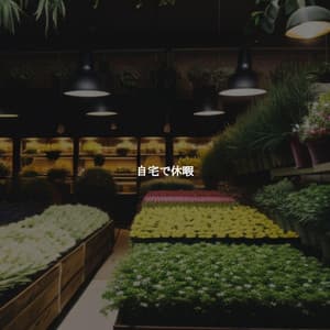 自宅で休暇 - Cleaning Music