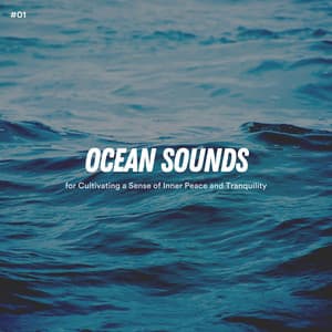 #01 Ocean Sounds for Cultivating a Sense of Inner Peace and Tranquility - Ocean Sounds