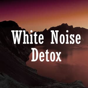 White Noise Detox - White Noise Babies