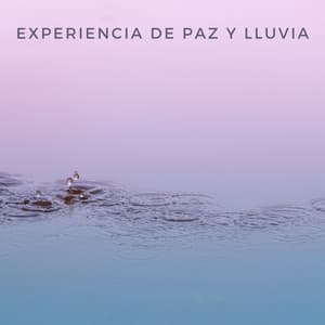 Experiencia De Paz Y Lluvia - Mar de ruido
