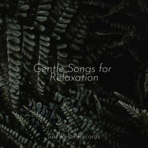 Gentle Songs for Relaxation - Powerthoughts Meditation Club