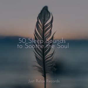 50 Sleep Sounds to Soothe the Soul - Happy Baby Lullaby Collection