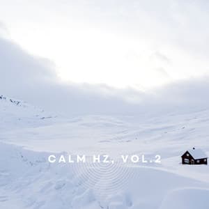 Calm Hz, Vol. 2 - Peter Ries
