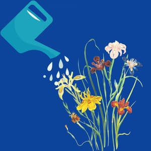 Music for Lounging with A Book - Musica para Estudiar Playlist