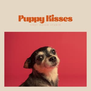 Puppy Kisses - Animal Melody Wizard