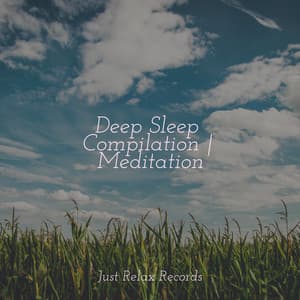 Deep Sleep Compilation | Meditation - Meditar Profundamente