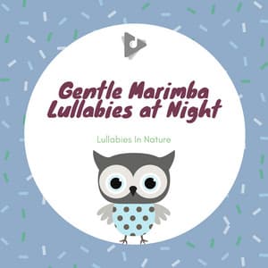 Gentle Marimba Lullabies at Night - Lullabies In Nature