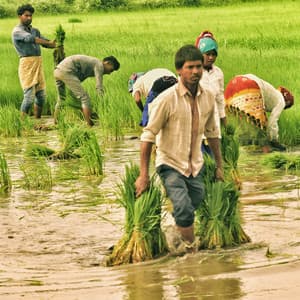 Rain Music: Soothing Nature Sounds for Productive Work - Rain Man Sounds
