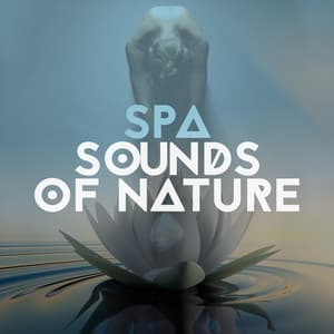 Spa Sounds of Nature - The Calming Sounds Of Nature