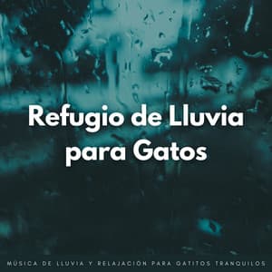 Refugio De Lluvia Para Gatos: Música De Lluvia Y Relajación Para Gatitos Tranquilos - Lluvia en España